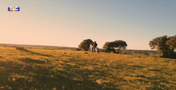 Quem quer namorar o agricultor?, SIC, João Neves, Alentejo, Elvas, casebre