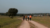 Quem quer namorar o agricultor?, SIC, João Neves, Alentejo, Elvas, casebre