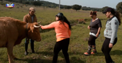 Quem quer namorar o agricultor?, SIC, João Neves, Alentejo, Elvas, casebre