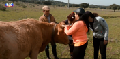 Quem quer namorar o agricultor?, SIC, João Neves, Alentejo, Elvas, casebre
