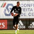 Odysseas Vlachodimos, elena, aroeira, simba, gato, recompensa, Benfica, guarda-redes