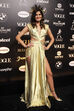 Baile Vogue 2019, Isabeli Fontana