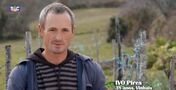 quem quer namorar com o agricultor, Susana, ivo pires