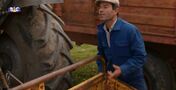 quem quer namorar com o agricultor, Elvas, João Neves