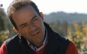 quem quer namorar com o agricultor, joão neves, alentejo