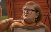 quem quer namorar com o agricultor, zélia, ivo pires