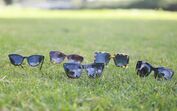 A nova coleção MOSS sun eyewear 2019