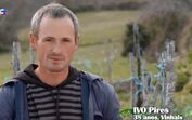 quem quer namorar com o agricultor, Susana, ivo pires