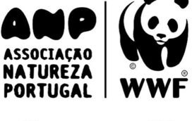 Falta 1 mês para a hora do planeta 