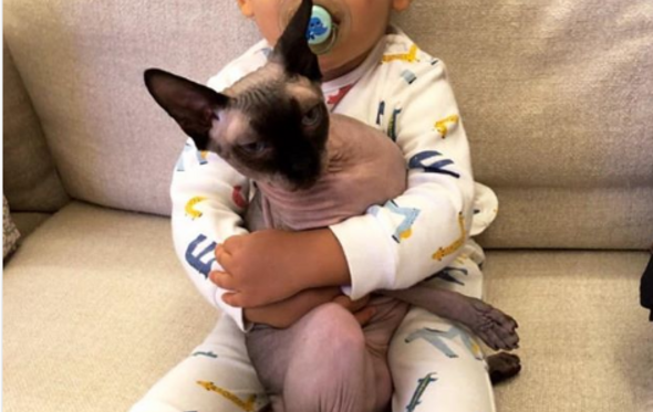 mateo