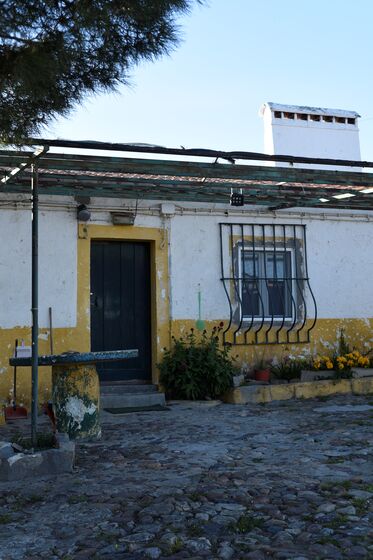 Agricultor de Elvas na verdade não é dono de nada
