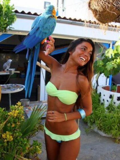 Quem quer casas com o agricultor, sic, soraia araújo, sensualidade