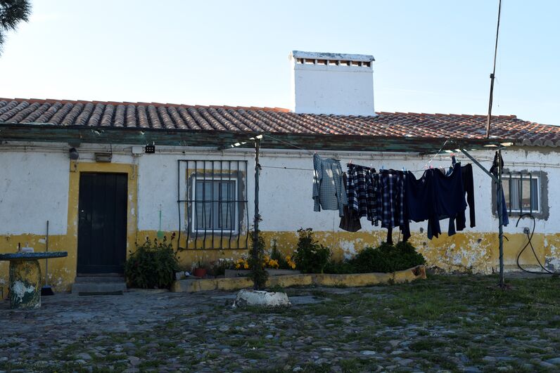 quem quer namorar com o agricultor, joão neves, alentejo