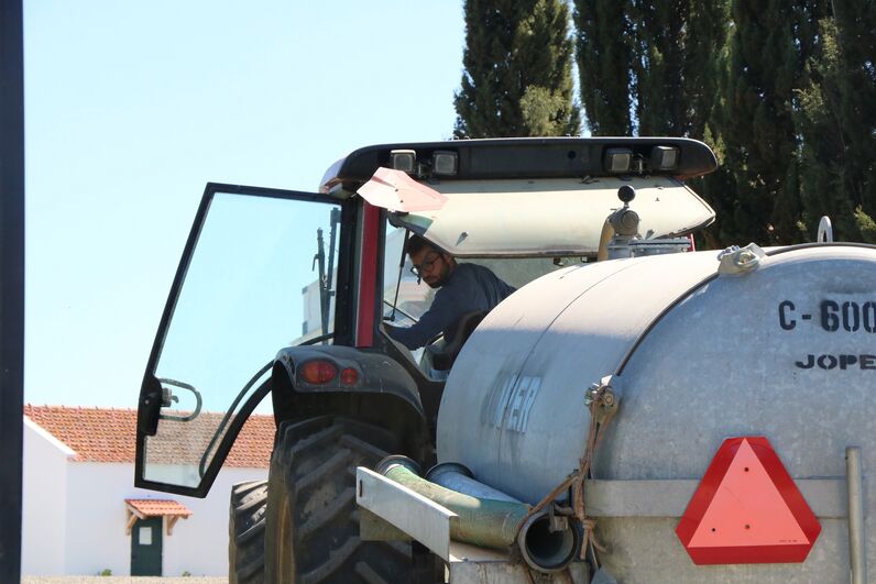 quem quer casar com o agricultor, SIC, João Menezes