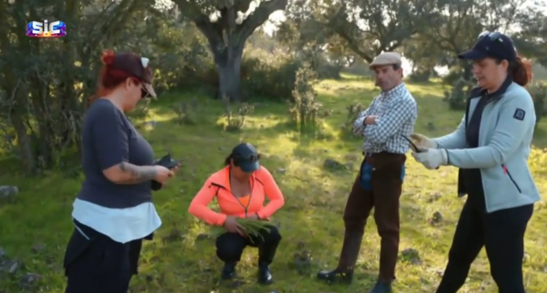 Quem quer namorar o agricultor?, SIC, João Neves, Alentejo, Elvas, casebre