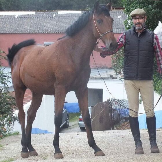 Rui Oliveira, Manuel Luís Goucha, marido