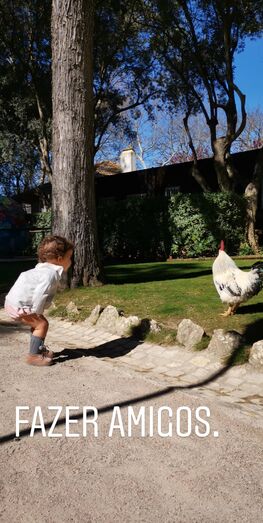 Rita Rugeroni e Pedro Ribeiro mostram festa de aniversário da filha de 2 anos
