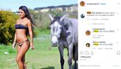 quem quer namorar com o agricultor, Soraia, Filipe