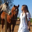 quem quer namorar com o agricultor, Soraia, Filipe