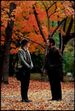 Meg Ryan e Billy Crystal em 'Um Amor Inevitável'