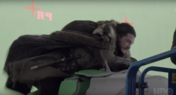 Kit Harington