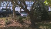 Mulher morre em tiroteio no Tagus Park em Oeiras. Há ainda um ferido grave