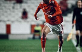 O Benfica, a TVI e a RTP