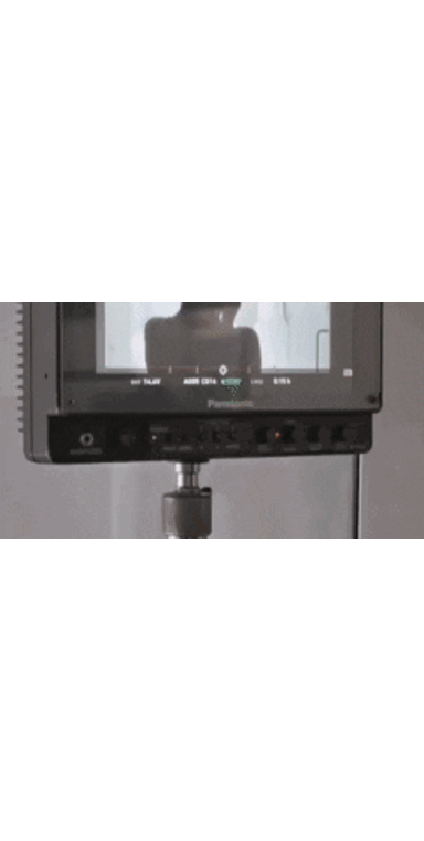 Georgina Rodríguez revela projeto secreto em Milão