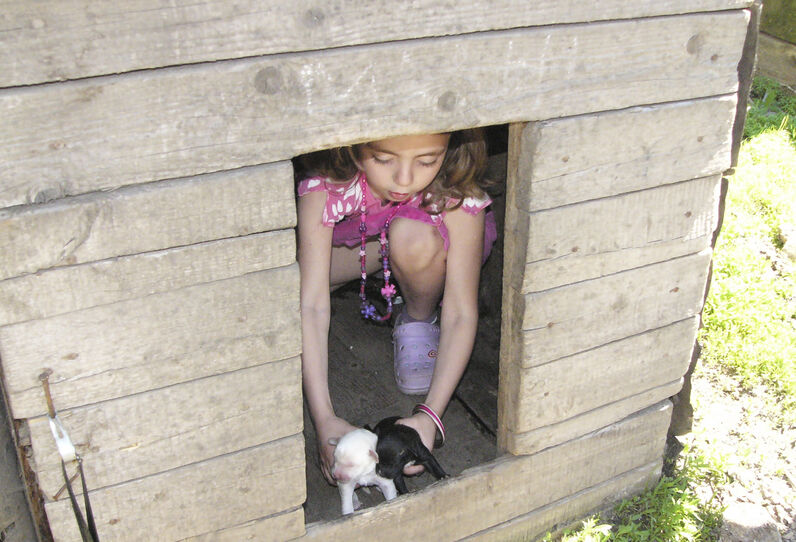 Sandra Tsiklauri, Alexandra, Natália Zarubina