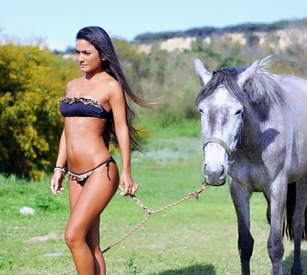 soraia araújo,agricultor,sic