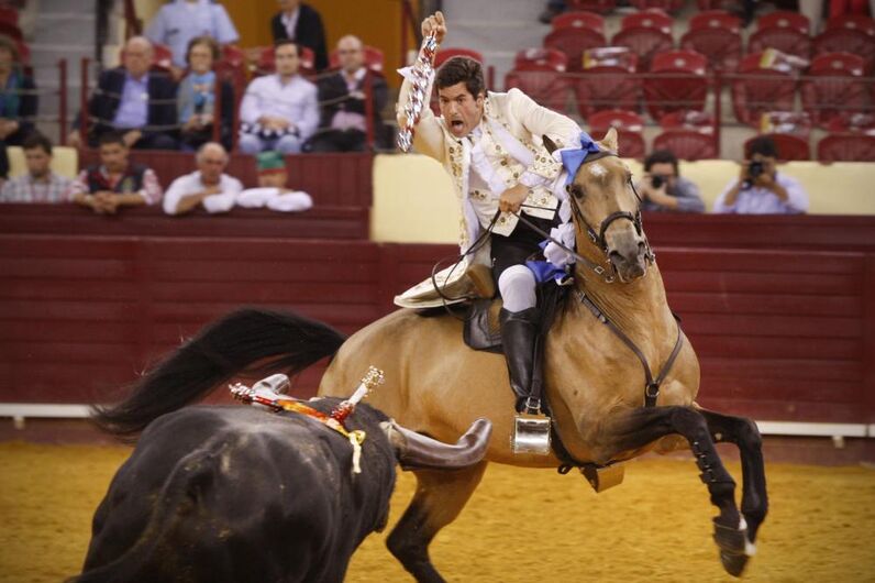 Duarte Pinto, Cavaleiro, toureiro 