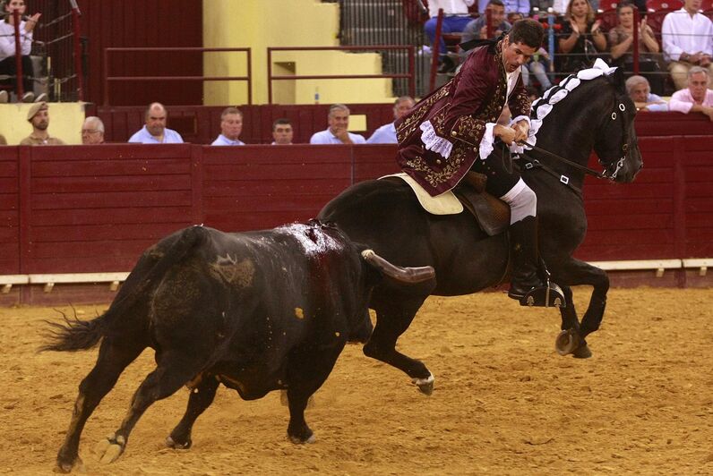 Duarte Pinto, Cavaleiro, toureiro 