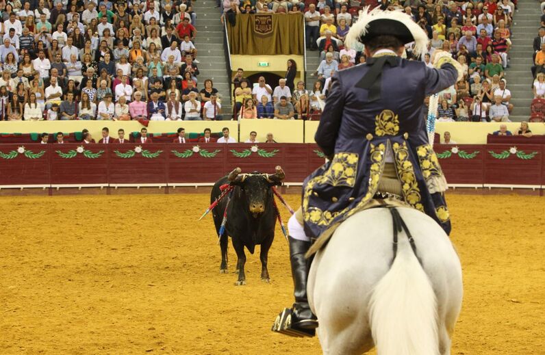 António Ribeiro Telles, Cavaleiro, toureiro 