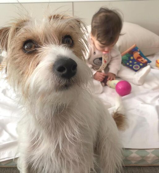 Daniel Oliveira e Andreia Rodrigues