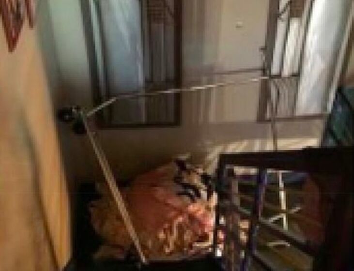 Johnny Deep e Amber Heard