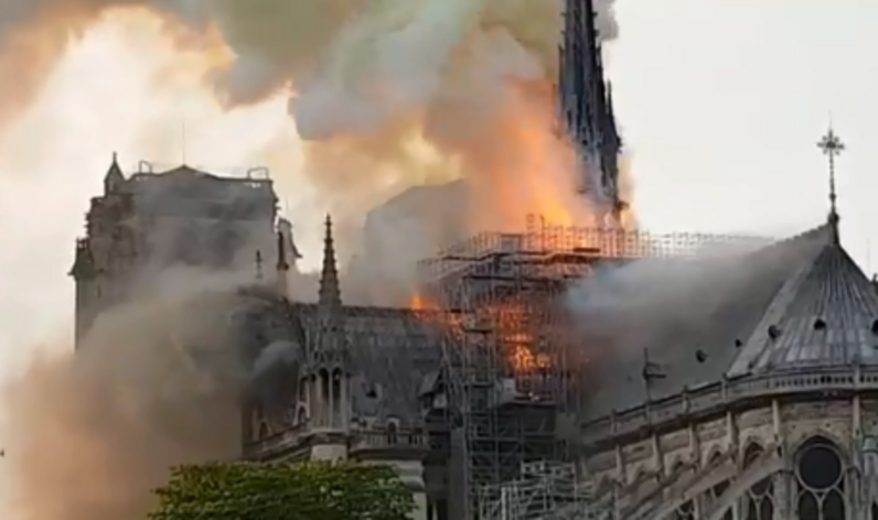 catedral de notre dame