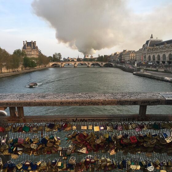 catedral de notre dame