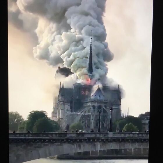 catedral de notre dame