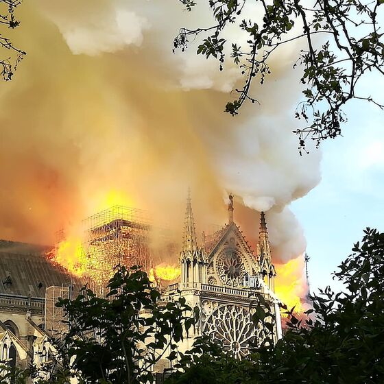 catedral de notre dame