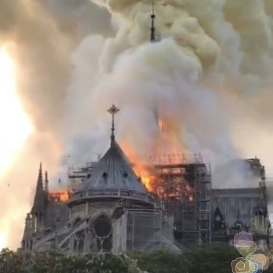 catedral de notre dame