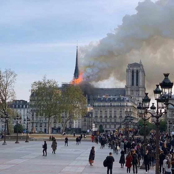 catedral de notre dame