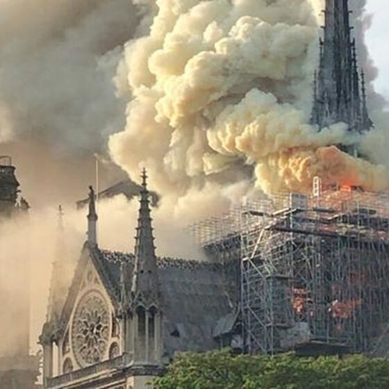 catedral de notre dame