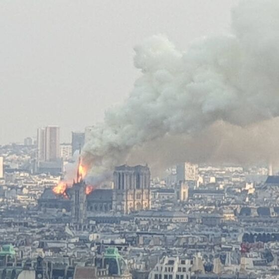 catedral de notre dame