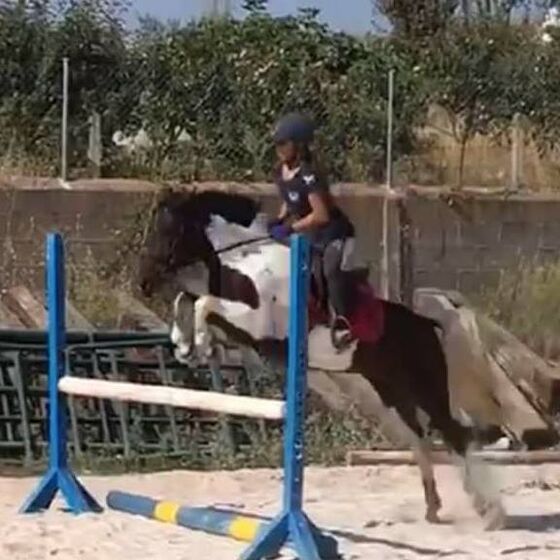 kika, agricultor, filipe camejo