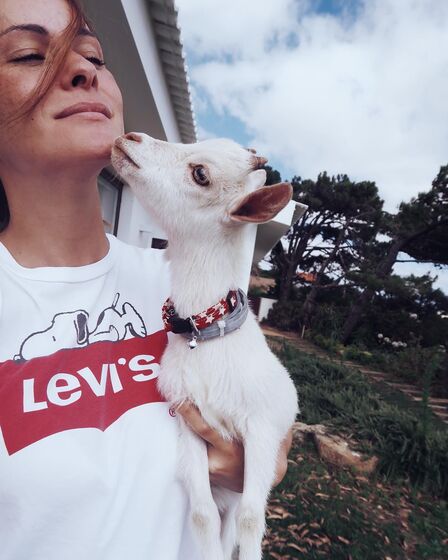 Helena Costa, atriz, malveira, grávida, cadelas, desaparecidas, tacuara, julieta, dogue argentina