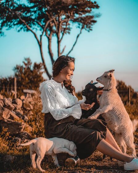 Helena Costa, atriz, malveira, grávida, cadelas, desaparecidas, tacuara, julieta, dogue argentina
