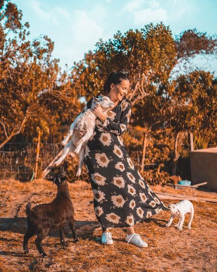 Helena Costa, atriz, malveira, grávida, cadelas, desaparecidas, tacuara, julieta, dogue argentina