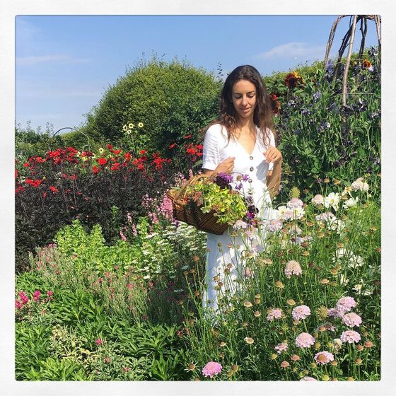 Rose Hanbury, Houghton Hall, príncipe William, amante do príncipe, Kate Middleton, marquesa Cholmondeley