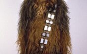 Chewbacca