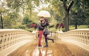 casal, nova iorque, romance, jardim, ponte, EUA